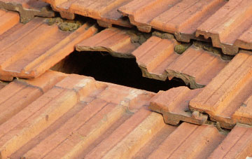 roof repair Grove Hill