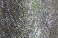 Grove Hill fibreglass roof work